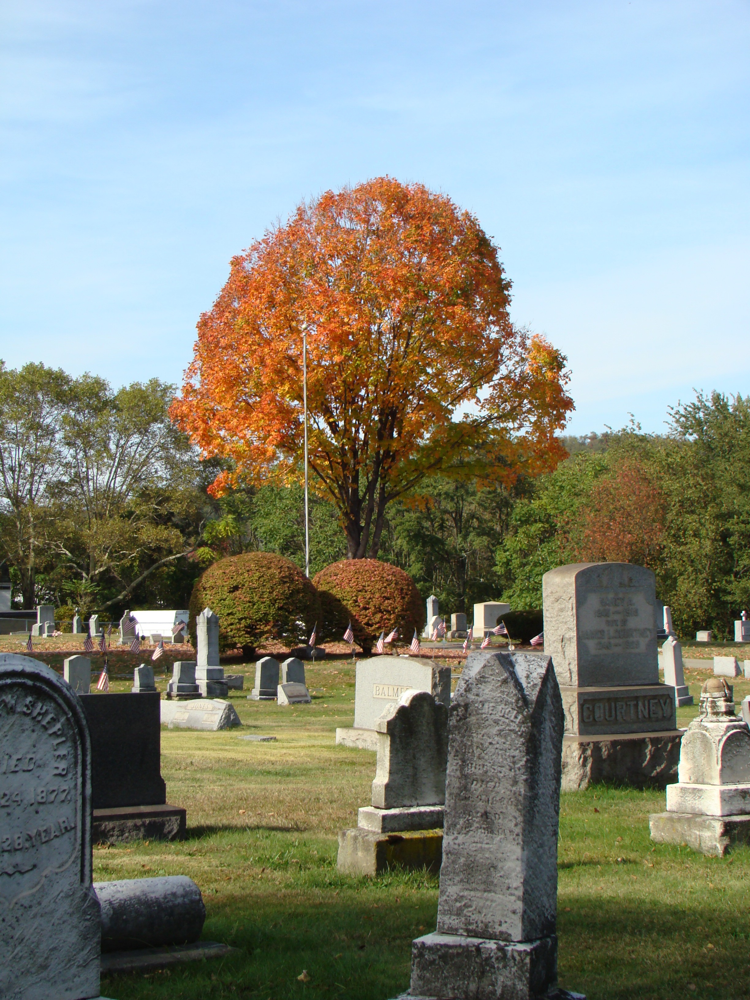 Stone Gallery - Belle Vernon Cemetery